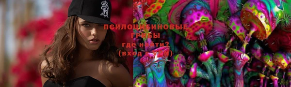 индика Алексеевка