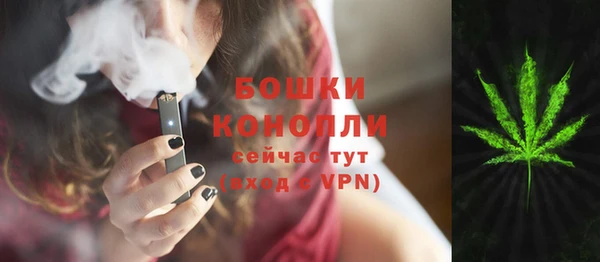 индика Алексеевка