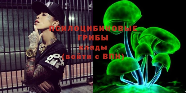 соль ск Алексин